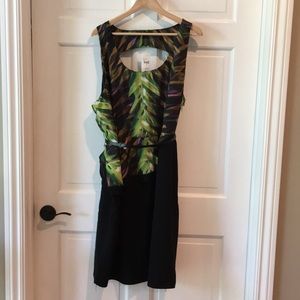 NWT Dress
